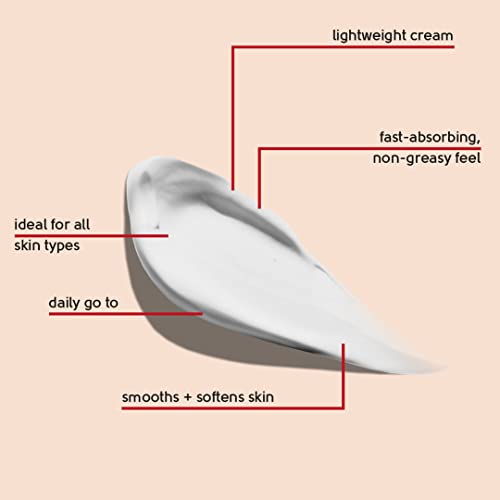 Face Facts Collagen & Q10 Night Cream | Ubiquinone (Q10) + Vitamin E + Collagen | Smooth + skin elasticity | 50ml